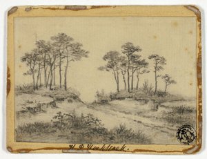 Sentier à travers les arbres