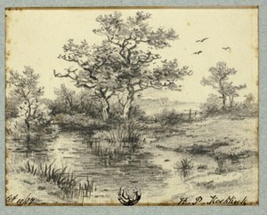 Arbres près de l