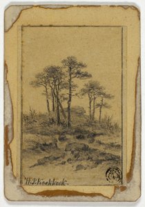 Arbres sur une colline rocheuse