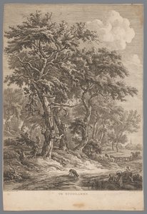 Paysage près de Zuidlaren - Hendrik Schwegman