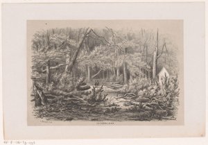 Omgewaaide bomen aan de Jacobalaan, na de storm van 28 mei 1860 - Hendrik Wilhelmus Last