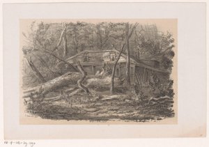 Arbre renversé à Buitenlust, après la tempête du 28 mai 1860