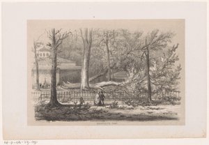 Arbre renversé près de la société, après la tempête du 28 mai 1860 - Hendrik Wilhelmus Last
