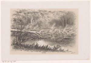 Arbre renversé, après la tempête du 28 mai 1860 - Hendrik Wilhelmus Last