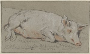 Cochon couché