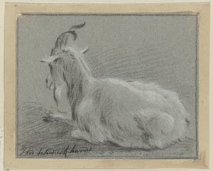 Chèvre couchée