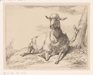 Chèvre couchée, Divers animaux (titre de la série) - Hendrik Willem Schweickhardt