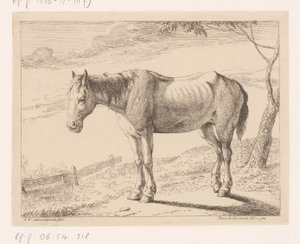 Cheval - Hendrik Willem Schweickhardt