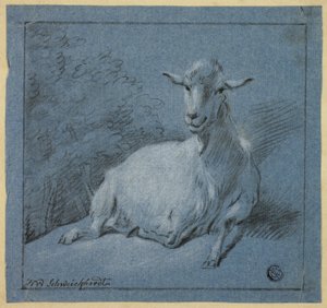 Chèvre