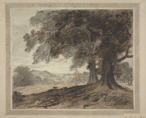 Dans le parc de Knole