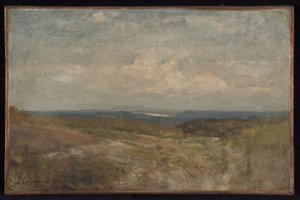 Paysage de collines