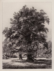 Cambridge : Le jardin du Christ