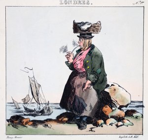 Nymphe de la Camise, illustration de 