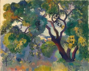 Paysage près de St. Tropez