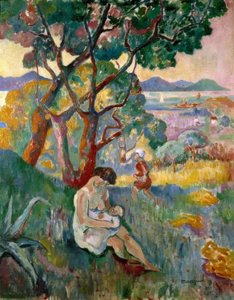Saint-Tropez, vue de la villa Demière