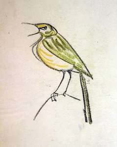 Oiseau