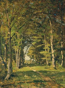 Les bois de Famars, 1887