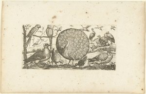 Dix-huit oiseaux (Oiseaux)