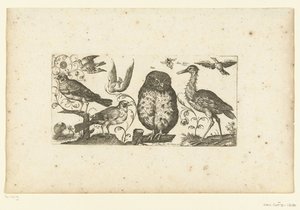 Neuf oiseaux et un insecte