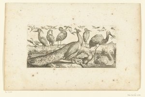 Dix-neuf oiseaux