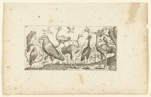 Douze oiseaux (Oiseaux)