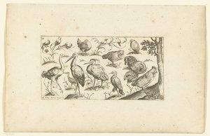 Quinze oiseaux