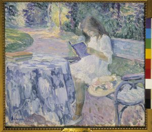 Le Lecteur