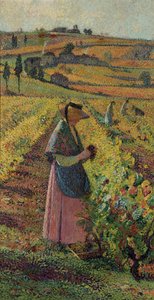 Les vendanges, c.1925