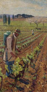 Le sulfatage - Henri Martin