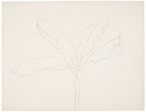 Bananier (Tahiti) - Henri Matisse