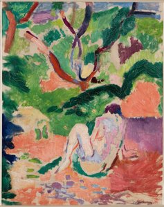 Nu dans un bois - Henri Matisse