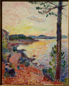 le gouter golfe de saint tropez 1904 (oil on canvas) - Henri Matisse