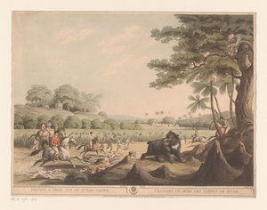 Chasse à l