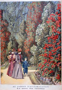 La serre des camélias, jardins zoologiques, Paris, 1897 - Henri Meyer