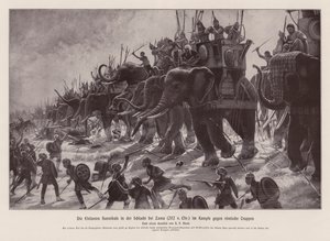 Les éléphants d
