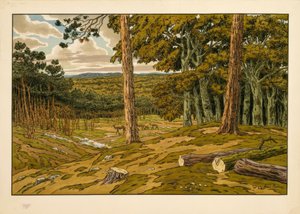 La Forêt - Henri Rivière
