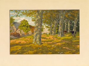 Le Bois de hêtres à Kerzadern - Henri Rivière