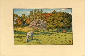 Petit bois au Béret (Douarnenez) - Henri Rivière