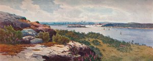 Sydney depuis Vaucluse, vers 1906 - Henri Tebbitt