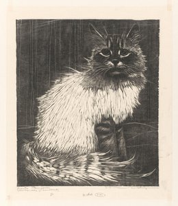 Angora coloré - Henri Verstijnen (signed by artist)