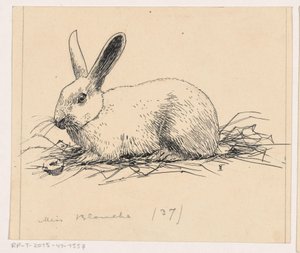 Lapin - Henri Verstijnen (signed by artist)