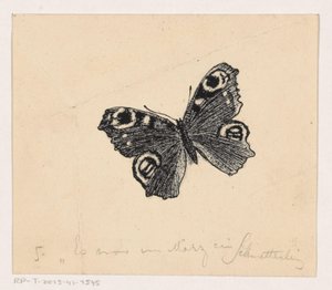 Papillon