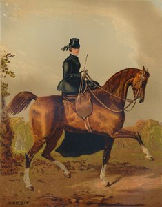 Un cheval de dame - La propriété du défunt comte de Pembroke, vers 1840s, vers 1879 - Henri d