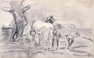 Chevaux