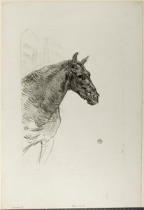 Philibert le poney - Henri de Toulouse-Lautrec
