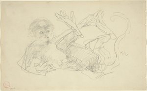 Un Singe Jouant sur le Dos