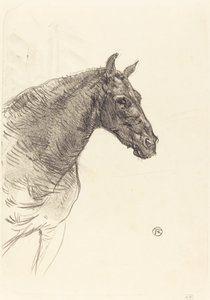 Le vieux cheval - Henri de Toulouse Lautrec