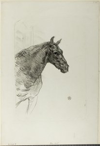 Philibert le poney - Henri de Toulouse Lautrec