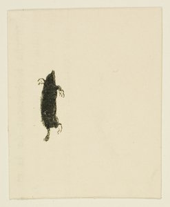 Cul-de-lampe de Au Pied du Sinaï - Henri de Toulouse Lautrec