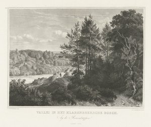 Vue d
